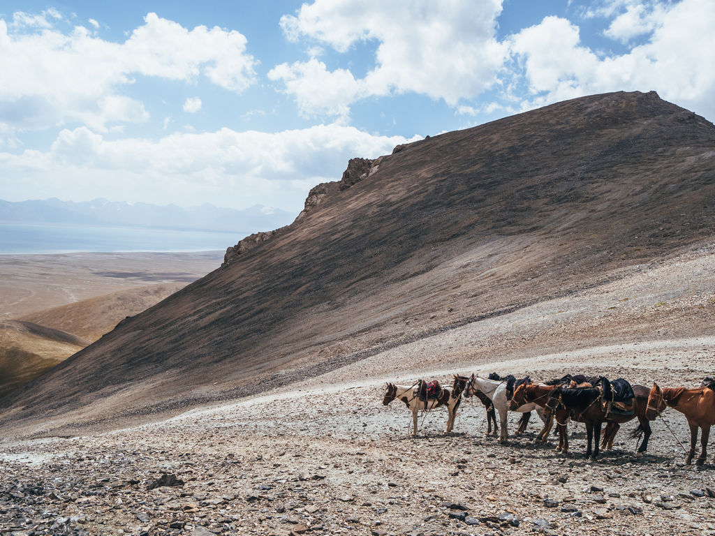 Things to do in Tash Rabat - Tash Rabat hikes - Hiking to Tash Rabat Panda Pass Chatyr Kul Viewpoint - Horse Riding Tash Rabat- The Complete Guide to Tash Rabat Kyrgyzstan - Journal of Nomads
