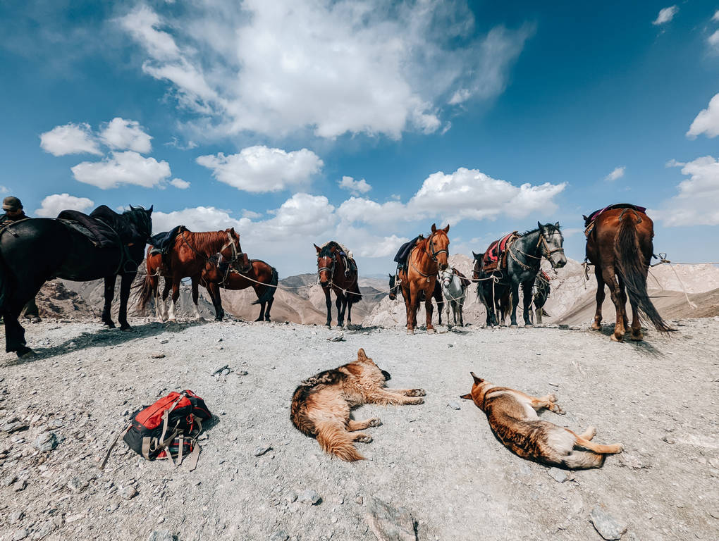 Things to do in Tash Rabat - Tash Rabat hikes - Hiking to Tash Rabat Panda Pass Chatyr Kul Viewpoint - Horse Riding Tash Rabat- The Complete Guide to Tash Rabat Kyrgyzstan - Journal of Nomads