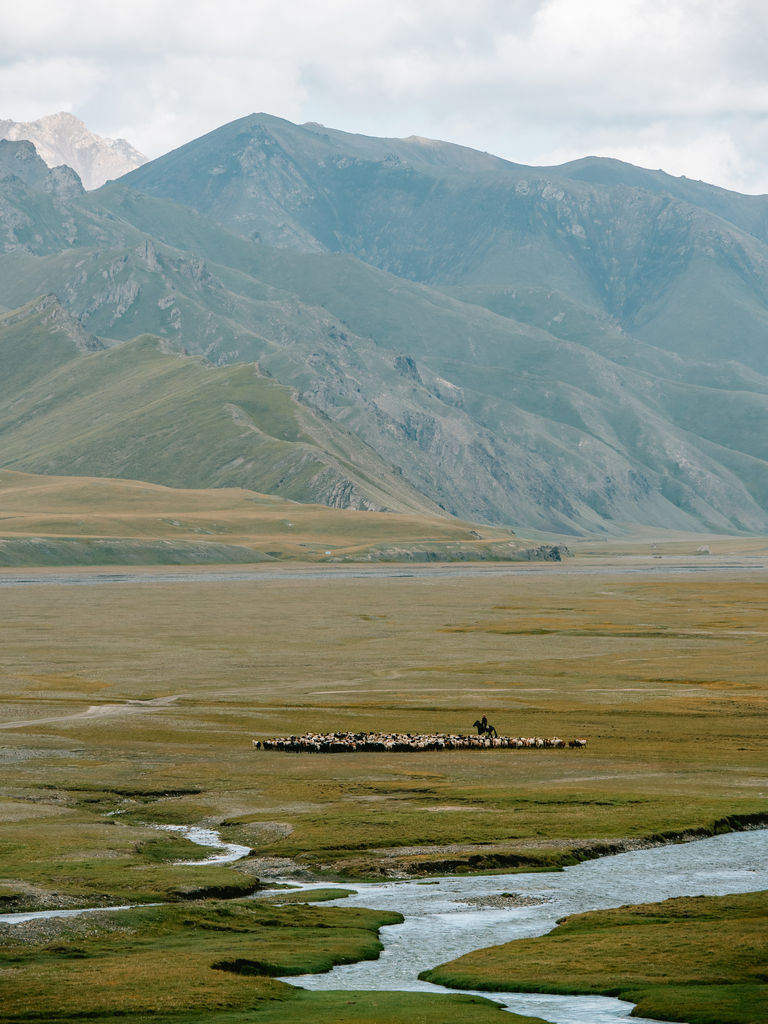 shepherds in Kel Suu