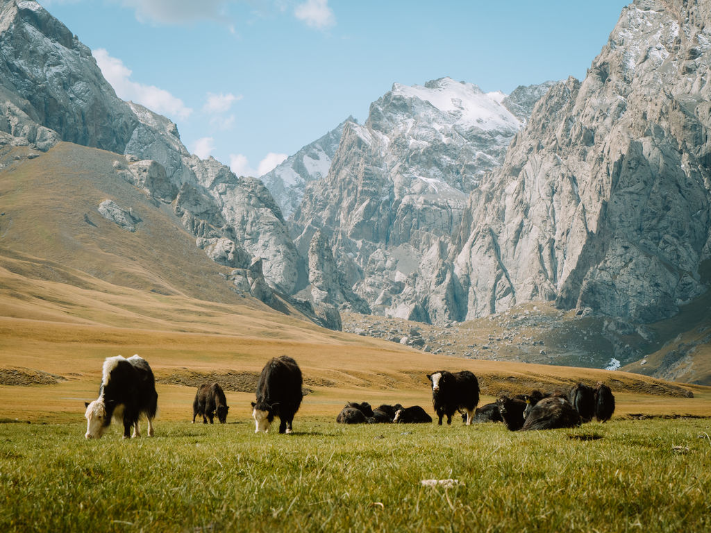 Kel Suu trek - hiking to Kel Suu - how to get to kel suu lake kyrgyzstan - kel suu travel guide