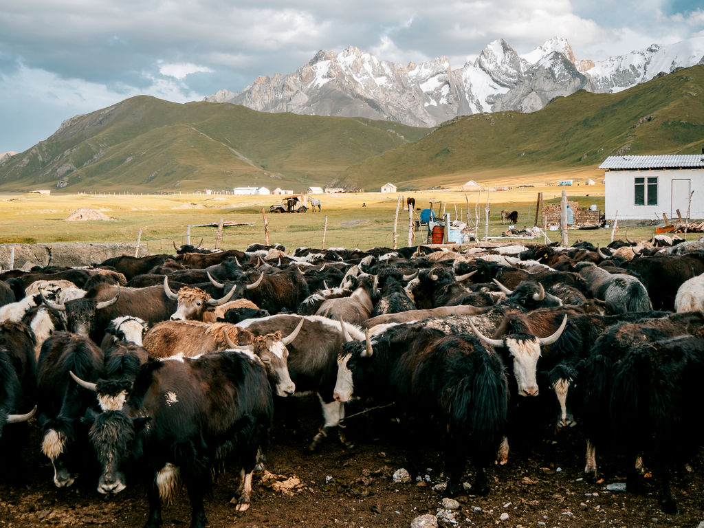 How to visit Kel Suu Lake Kyrgyzstan - The Complete Travel Guide