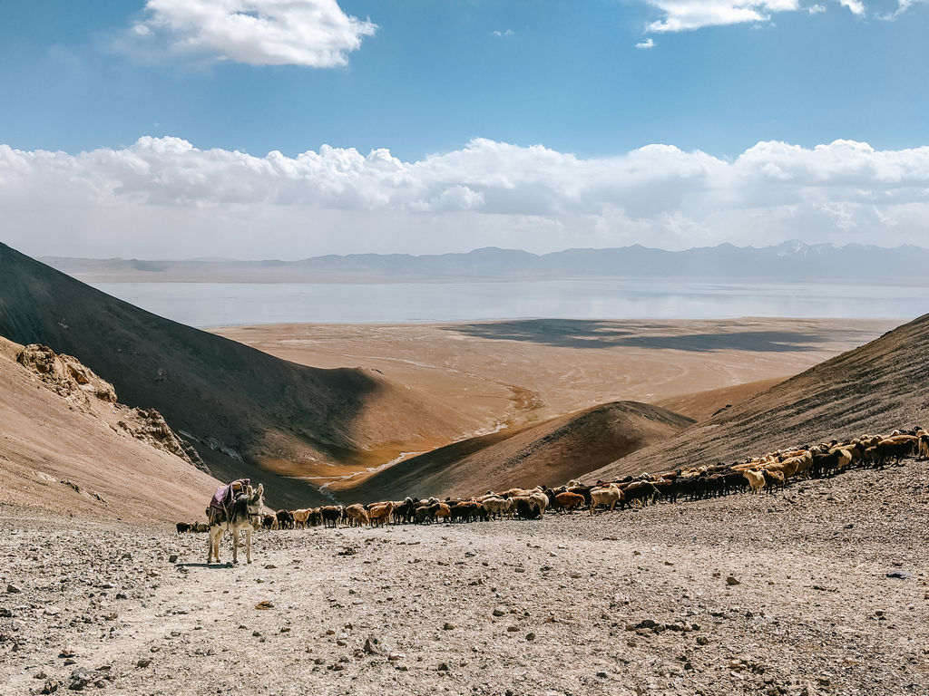 Things to do in Tash Rabat - Tash Rabat hikes - Hiking to Tash Rabat Panda Pass Chatyr Kul Viewpoint - Horse Riding Tash Rabat- The Complete Guide to Tash Rabat Kyrgyzstan - Journal of Nomads