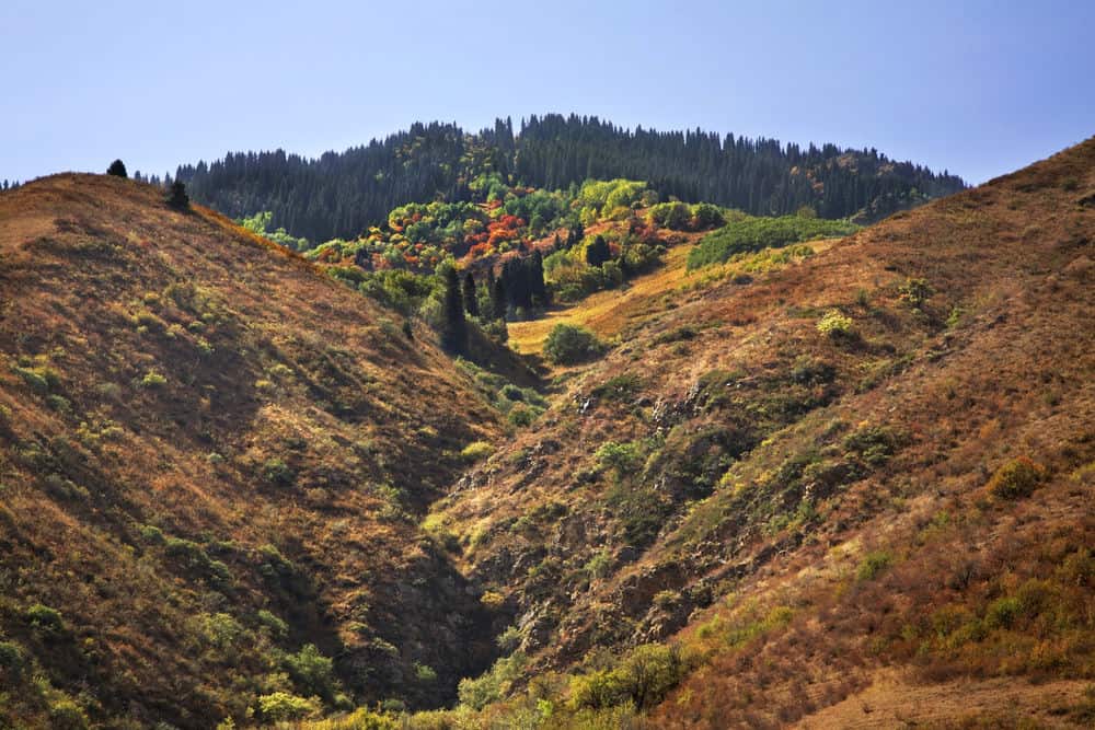 Turgen Gorge Kazakhstan - Places to visit in Kazakhstan - Things to do around Almaty - Journal of Nomads