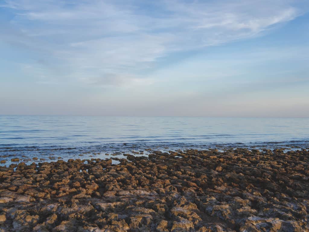 How to visit Moynaq and the Aral Sea Disaster in Uzbekistan - The Complete Travel Guide 42 Aral Sea disaster Uzbekistan - Aral Sea Trip Uzbekistan - South shore Aral Sea