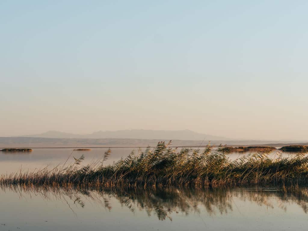 How to visit Moynaq and the Aral Sea Disaster in Uzbekistan - The Complete Travel Guide 58 Highlights of Uzbekistan Tour - Aydarkul Lake Uzbekistan