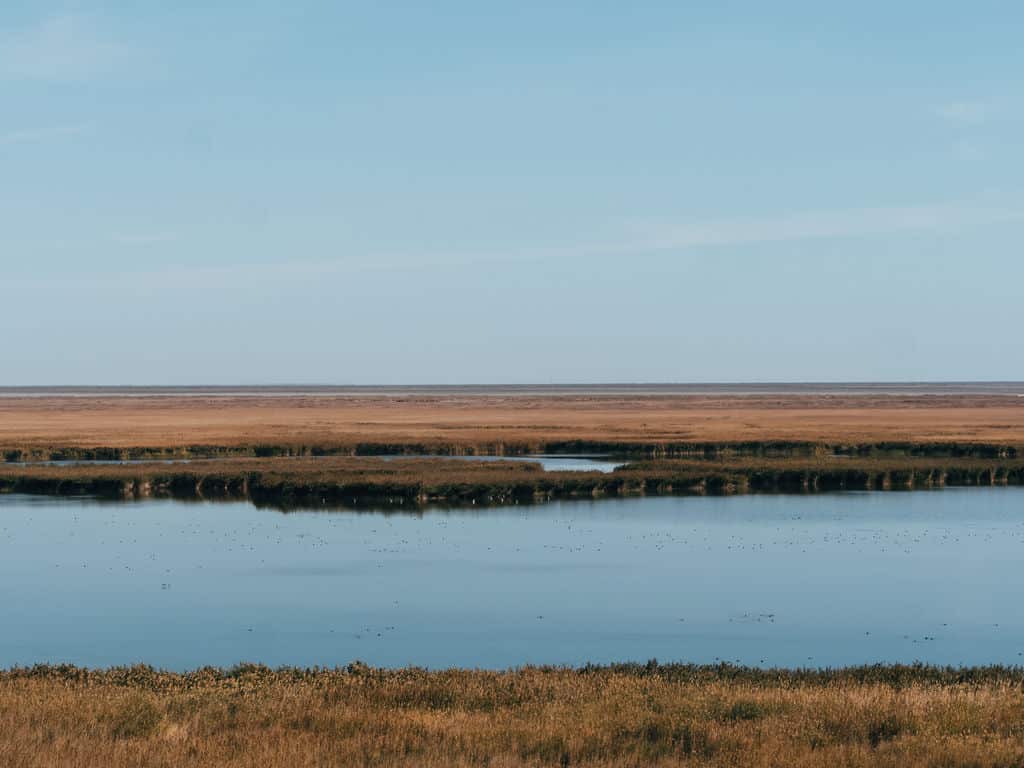How to visit Moynaq and the Aral Sea Disaster in Uzbekistan - The Complete Travel Guide 44 Sudochye Lakes Uzbekistan - Aral Sea Trip - Aral Sea Disaster Uzbekistan