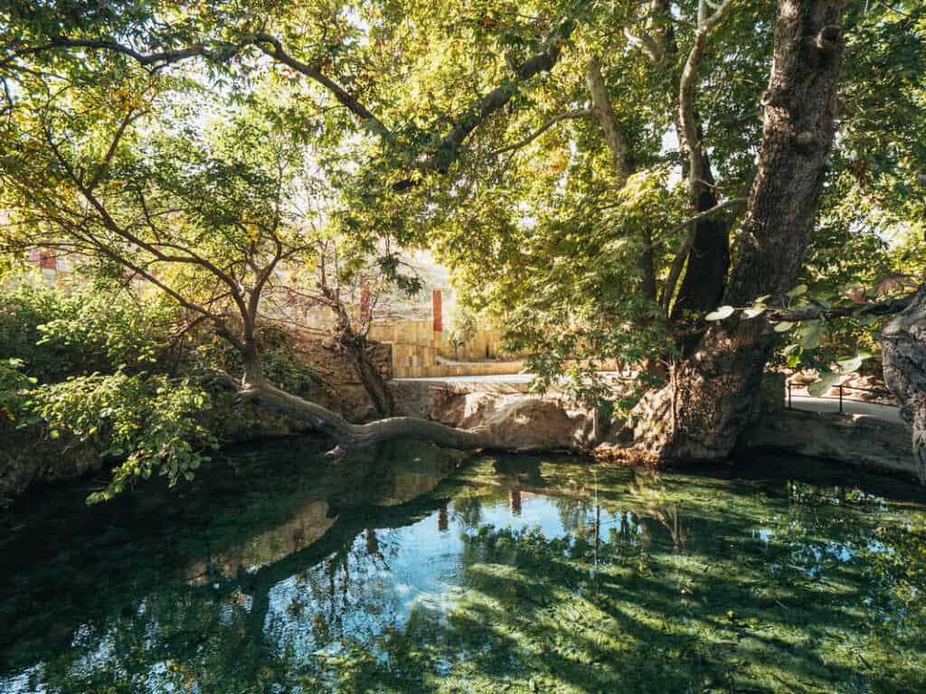 What are the Best Places to visit in Uzbekistan in 2026? 54 Shahrisabz Uzbekistan - From Samarkand to Shahrisabz - Day trips from Samarkand - Amir Temur statue