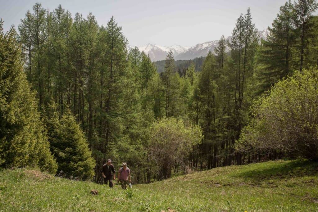 Ak-Suu-Aroretum Karakol Trekking - Day hikes from Karakol - Hiking in Kyrgyzstan - Journal of Nomads