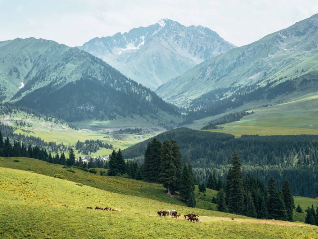 Hiking in Kyrgyzstan - Hiking in Jyrgalan - Jyrgalan Valley - Best hikes in Karakol and Jyrgalan - Journal of Nomads