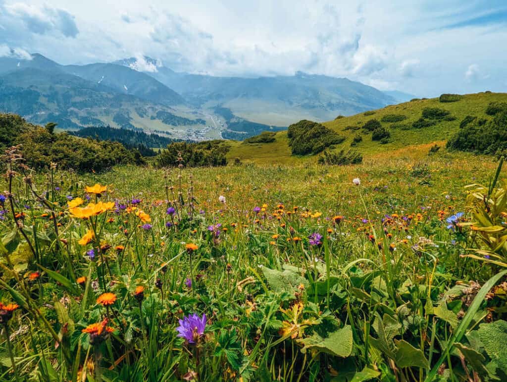 Hiking in Kyrgyzstan - Hiking in Jyrgalan - Jyrgalan Valley - Best hikes in Karakol and Jyrgalan - Journal of Nomads