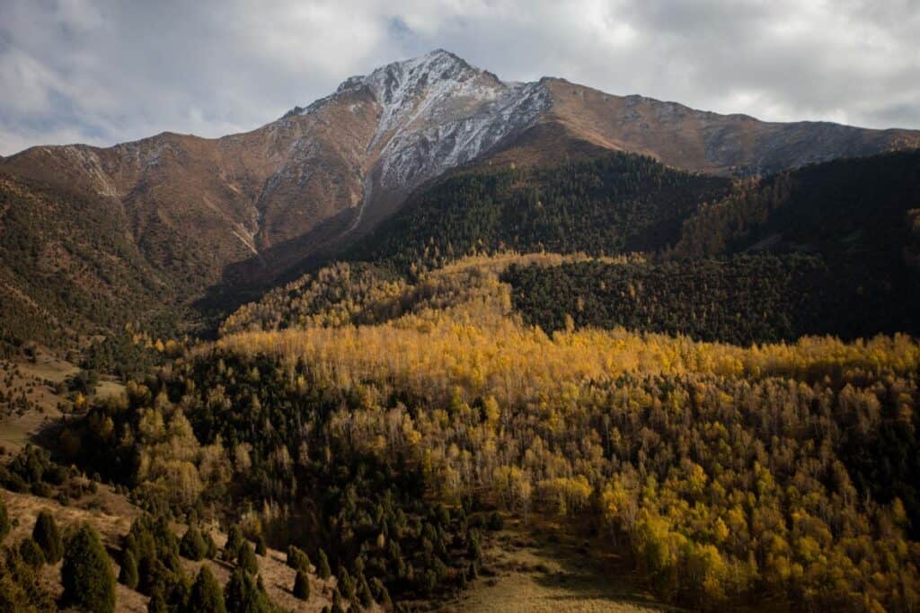 Kyrgyzstan in Spring: Best Places to Visit, Weather & What to Expect (April–June) 18 Kyrgyzstan in Spring: Best Places to Visit, Weather & What to Expect (April–June)