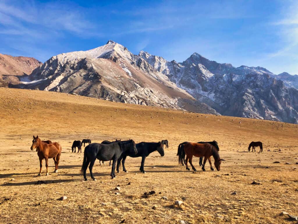 The Complete Hiking Guide to Sayram Ugam National Park, one of the most beautiful Kazakhstan National Parks 9 The Complete Hiking Guide to Sayram Ugam National Park, one of the most beautiful Kazakhstan National Parks