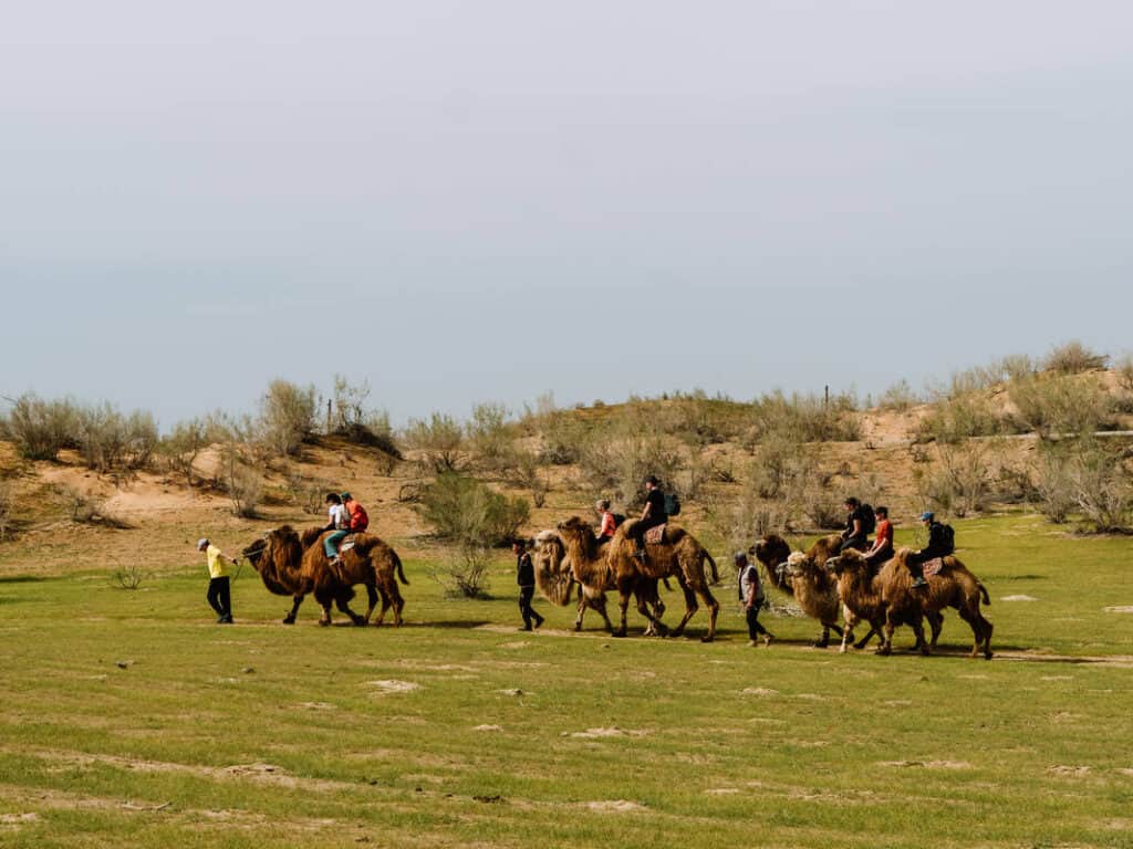 14-daagse Avontuurlijke Rondreis Oezbekistan - Oezbekistan Reizen 67 14-daagse Avontuurlijke Rondreis Oezbekistan - Oezbekistan Reizen