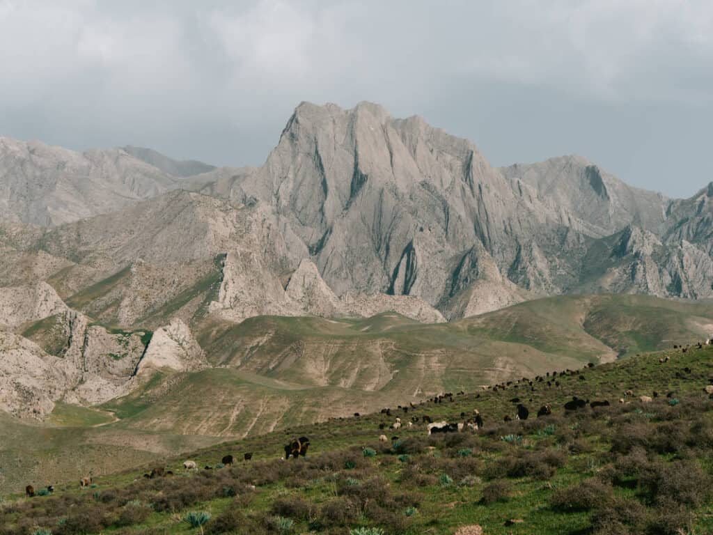 14-daagse Avontuurlijke Rondreis Oezbekistan - Oezbekistan Reizen 49 14-daagse Avontuurlijke Rondreis Oezbekistan - Oezbekistan Reizen