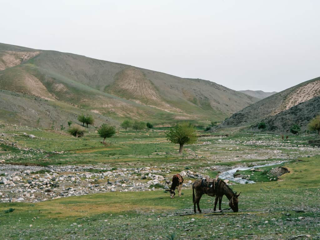 14-daagse Avontuurlijke Rondreis Oezbekistan - Oezbekistan Reizen 53 14-daagse Avontuurlijke Rondreis Oezbekistan - Oezbekistan Reizen
