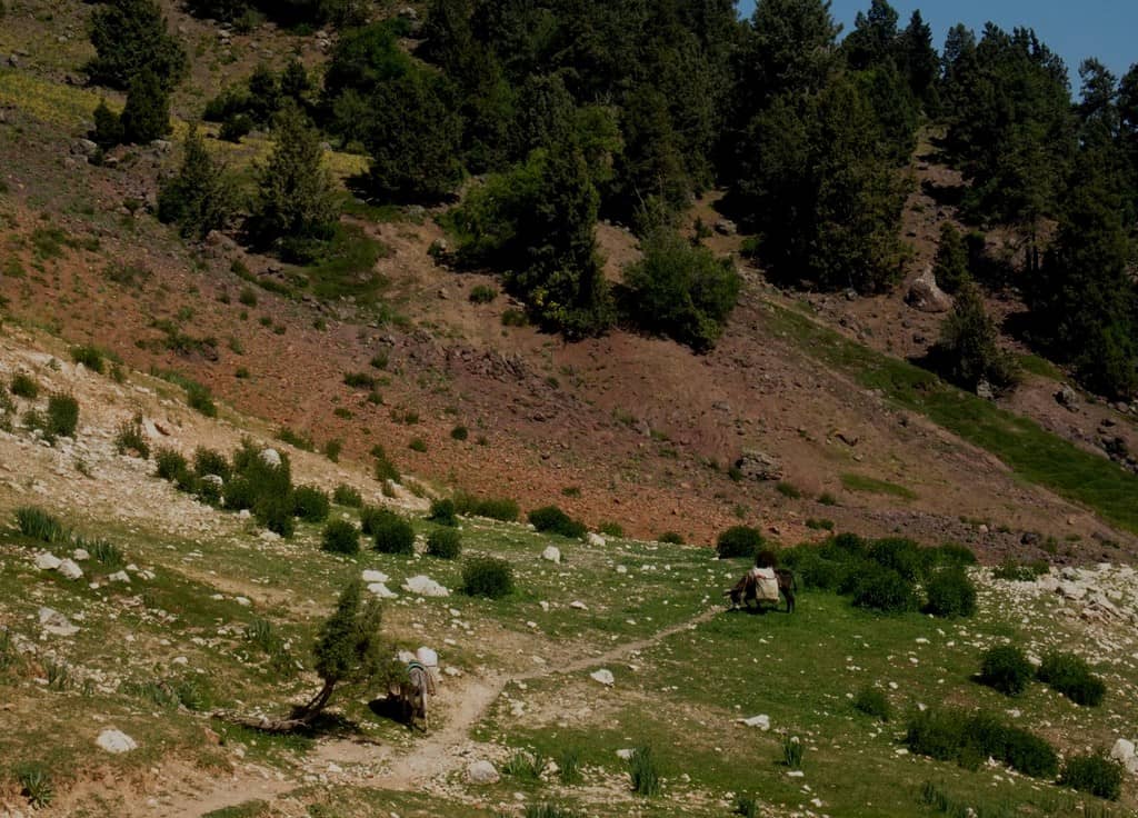 Hiking in Uzbekistan - 6 best Hiking Trails in the Nuratau and Chimgan Mountains in Uzbekistan 63 Hiking in Uzbekistan - 6 best Hiking Trails in the Nuratau and Chimgan Mountains in Uzbekistan
