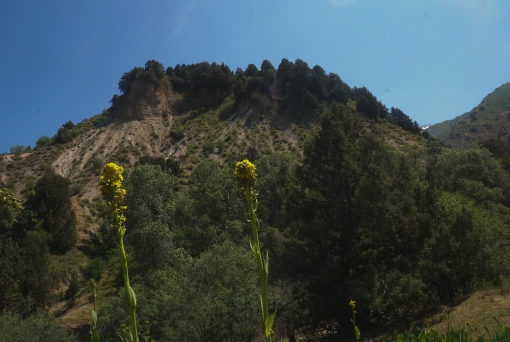 Hiking in Uzbekistan - 6 best Hiking Trails in the Nuratau and Chimgan Mountains in Uzbekistan 61 Hiking in Uzbekistan - 6 best Hiking Trails in the Nuratau and Chimgan Mountains in Uzbekistan