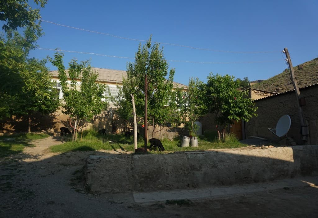 Everything you need to know about horse riding in Uzbekistan+ 3 best horse trekking destinations in Uzbekistan 32 Everything you need to know about horse riding in Uzbekistan+ 3 best horse trekking destinations in Uzbekistan