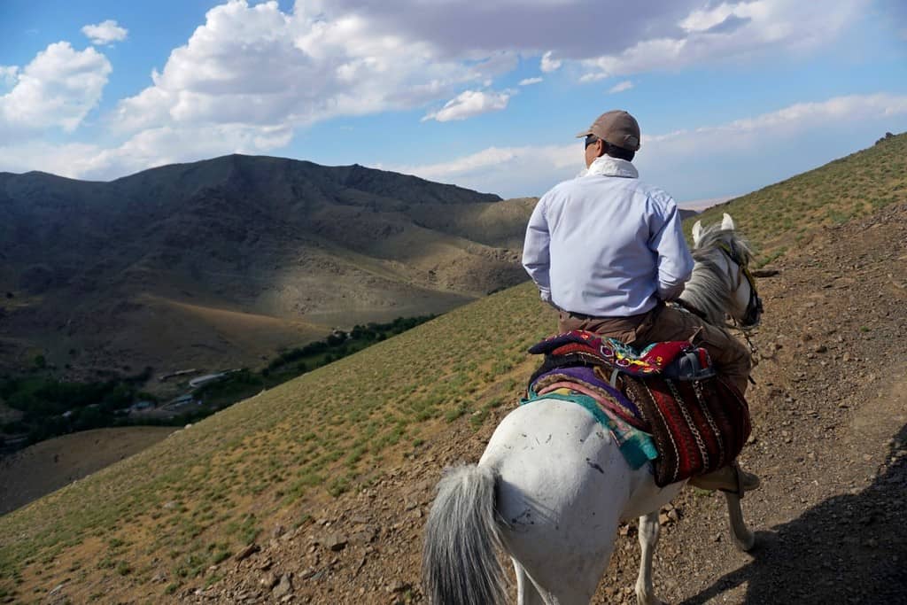 Everything you need to know about horse riding in Uzbekistan+ 3 best horse trekking destinations in Uzbekistan 17 Everything you need to know about horse riding in Uzbekistan+ 3 best horse trekking destinations in Uzbekistan