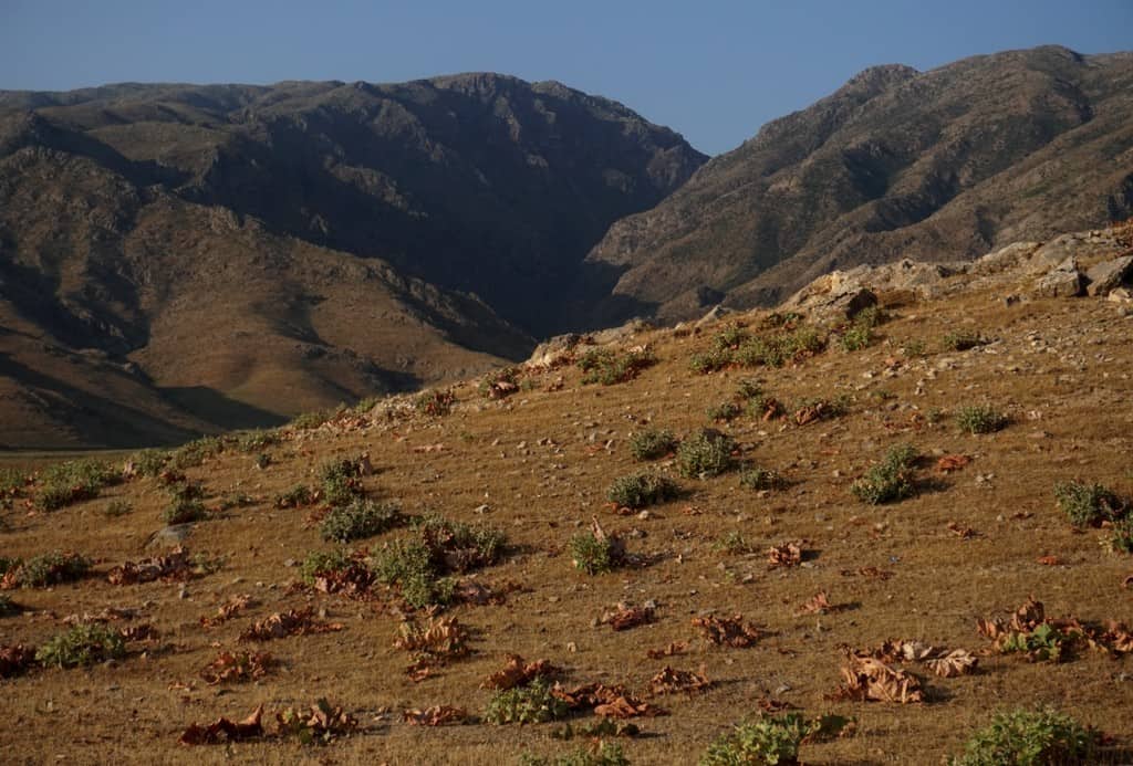 Everything you need to know about horse riding in Uzbekistan+ 3 best horse trekking destinations in Uzbekistan 45 Everything you need to know about horse riding in Uzbekistan+ 3 best horse trekking destinations in Uzbekistan
