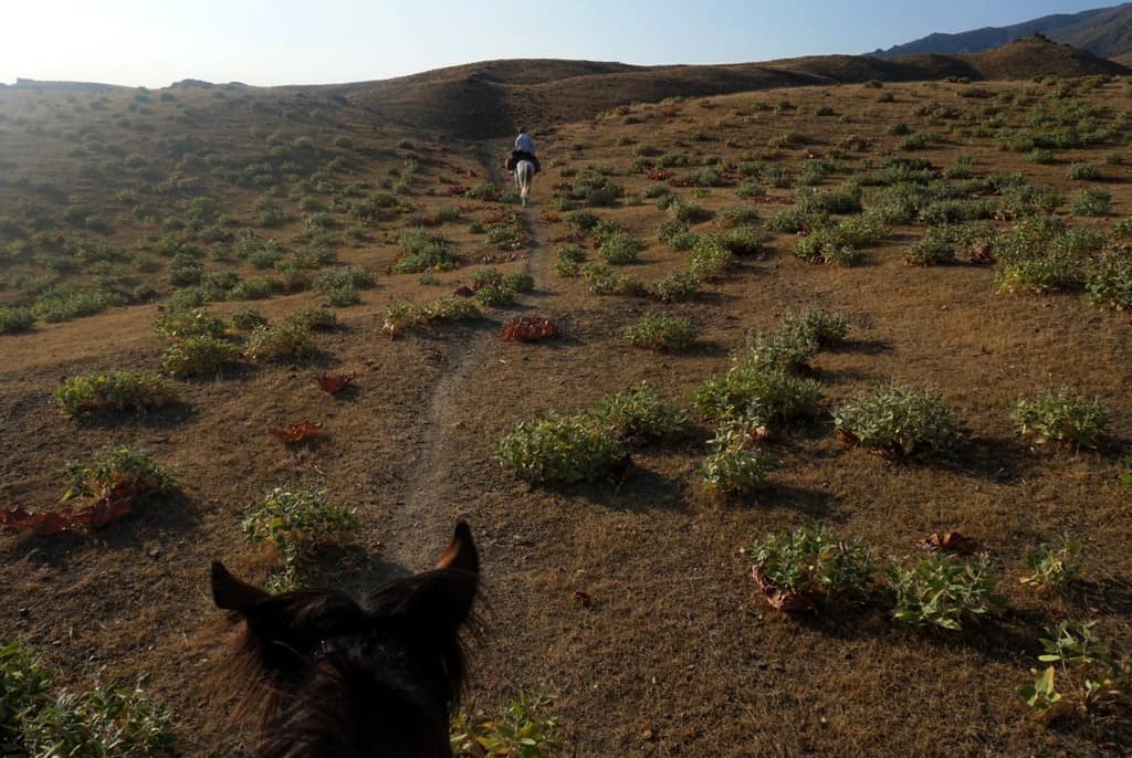 Everything you need to know about horse riding in Uzbekistan+ 3 best horse trekking destinations in Uzbekistan 44 Everything you need to know about horse riding in Uzbekistan+ 3 best horse trekking destinations in Uzbekistan