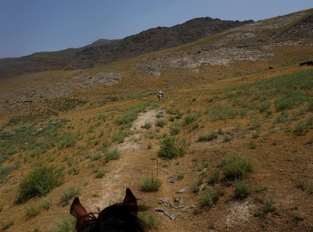 Everything you need to know about horse riding in Uzbekistan+ 3 best horse trekking destinations in Uzbekistan 40 Everything you need to know about horse riding in Uzbekistan+ 3 best horse trekking destinations in Uzbekistan