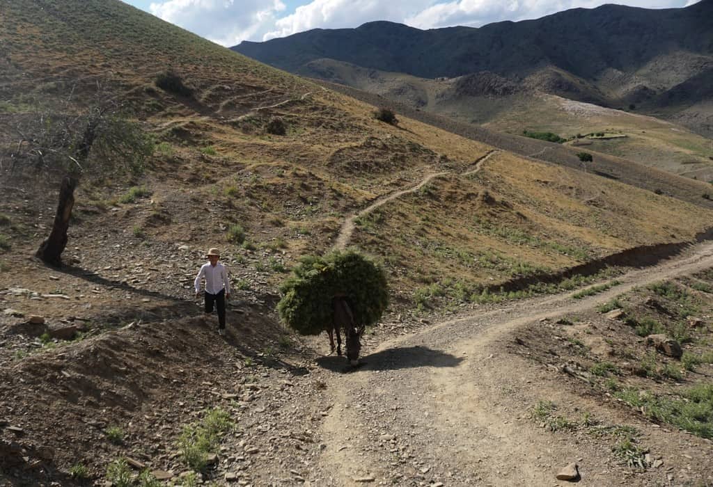 Everything you need to know about horse riding in Uzbekistan+ 3 best horse trekking destinations in Uzbekistan 39 Everything you need to know about horse riding in Uzbekistan+ 3 best horse trekking destinations in Uzbekistan