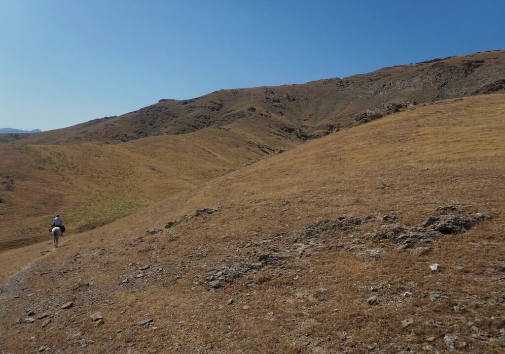 Everything you need to know about horse riding in Uzbekistan+ 3 best horse trekking destinations in Uzbekistan 37 Everything you need to know about horse riding in Uzbekistan+ 3 best horse trekking destinations in Uzbekistan