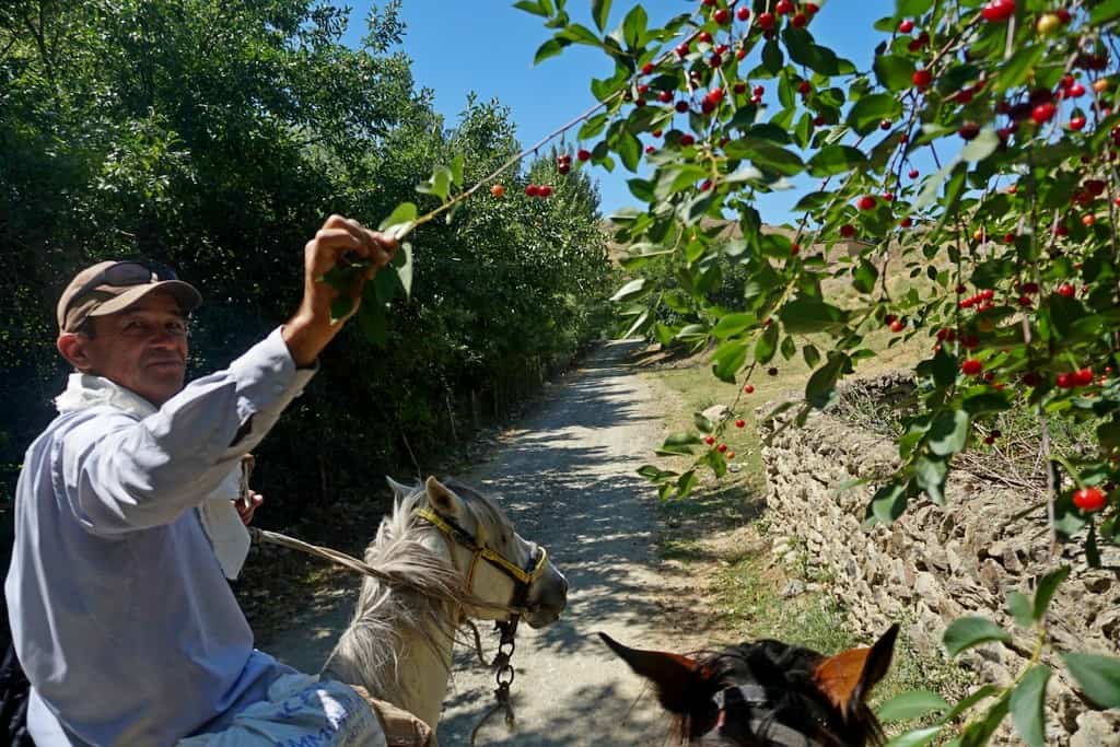 Everything you need to know about horse riding in Uzbekistan+ 3 best horse trekking destinations in Uzbekistan 36 Everything you need to know about horse riding in Uzbekistan+ 3 best horse trekking destinations in Uzbekistan