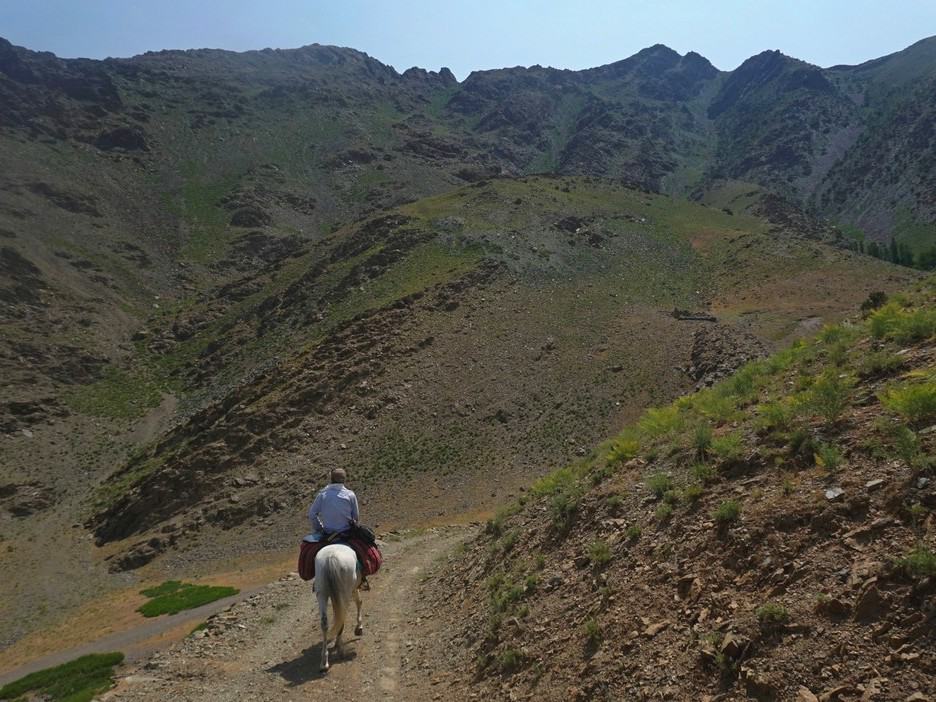 Everything you need to know about horse riding in Uzbekistan+ 3 best horse trekking destinations in Uzbekistan 15 Horse riding in Uzbekistan - Nuratau Mountains Uzbekistan - Uzbekistan Horse Riding- Best horse trekking destinations Uzbekistan - Journal of Nomads
