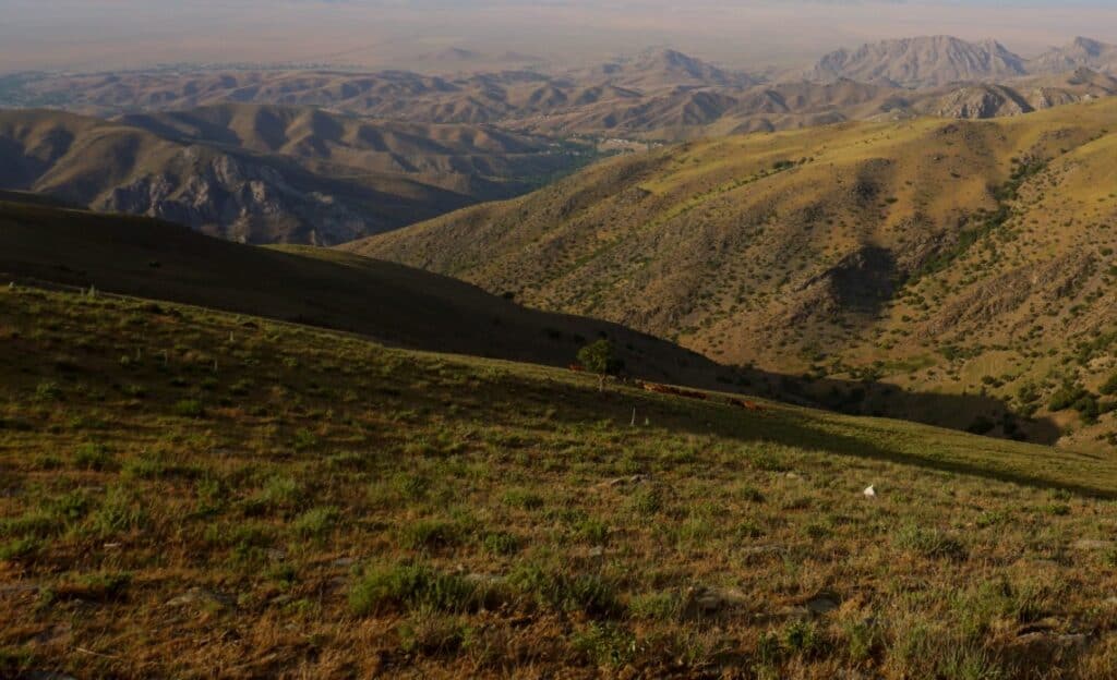 Hiking in Uzbekistan - 6 best Hiking Trails in the Nuratau and Chimgan Mountains in Uzbekistan 40 Hiking in Uzbekistan - 6 best Hiking Trails in the Nuratau and Chimgan Mountains in Uzbekistan