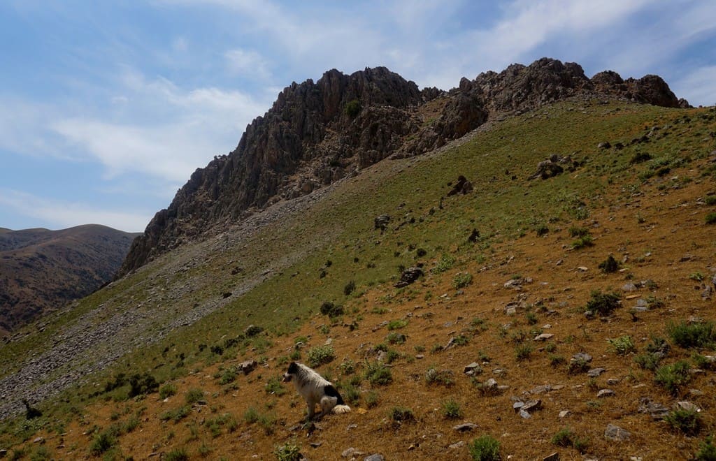 Hiking in Uzbekistan - 6 best Hiking Trails in the Nuratau and Chimgan Mountains in Uzbekistan 45 Hiking in Uzbekistan - 6 best Hiking Trails in the Nuratau and Chimgan Mountains in Uzbekistan