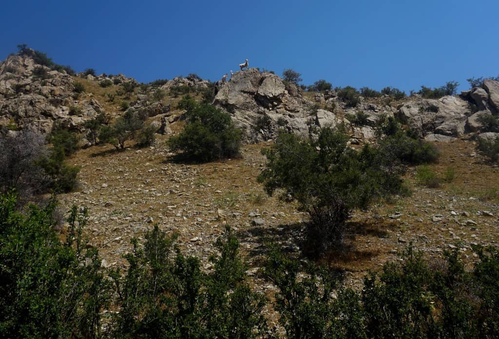 Hiking in Uzbekistan - 6 best Hiking Trails in the Nuratau and Chimgan Mountains in Uzbekistan 48 Hiking in Uzbekistan - 6 best Hiking Trails in the Nuratau and Chimgan Mountains in Uzbekistan