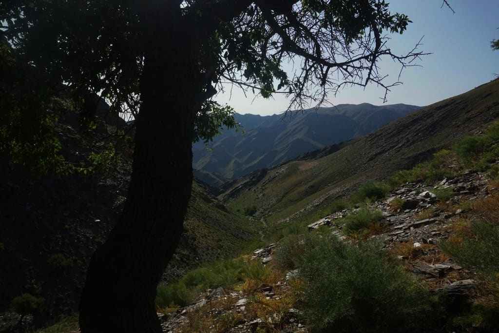Hiking in Uzbekistan - 6 best Hiking Trails in the Nuratau and Chimgan Mountains in Uzbekistan 56 Hiking in Uzbekistan - 6 best Hiking Trails in the Nuratau and Chimgan Mountains in Uzbekistan