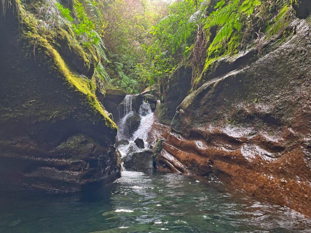 Canyoning in Madeira: Everything you need to know 15 Canyoning in Madeira - Journal of Nomads