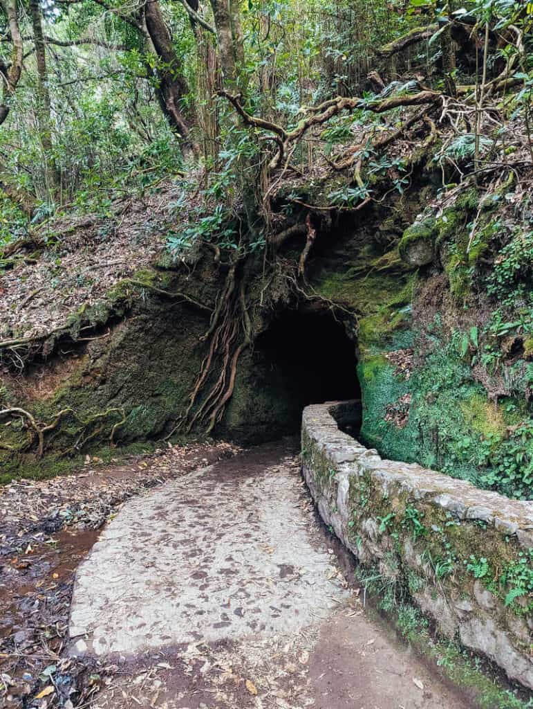 The Handy Guide to Hiking in Madeira Portugal with Our 7 favourite Madeira Hiking trails 22 Caldeira Verde Levada Trail - Madeira Hiking - Hiking in Madeira - Best Hikes in Madeira