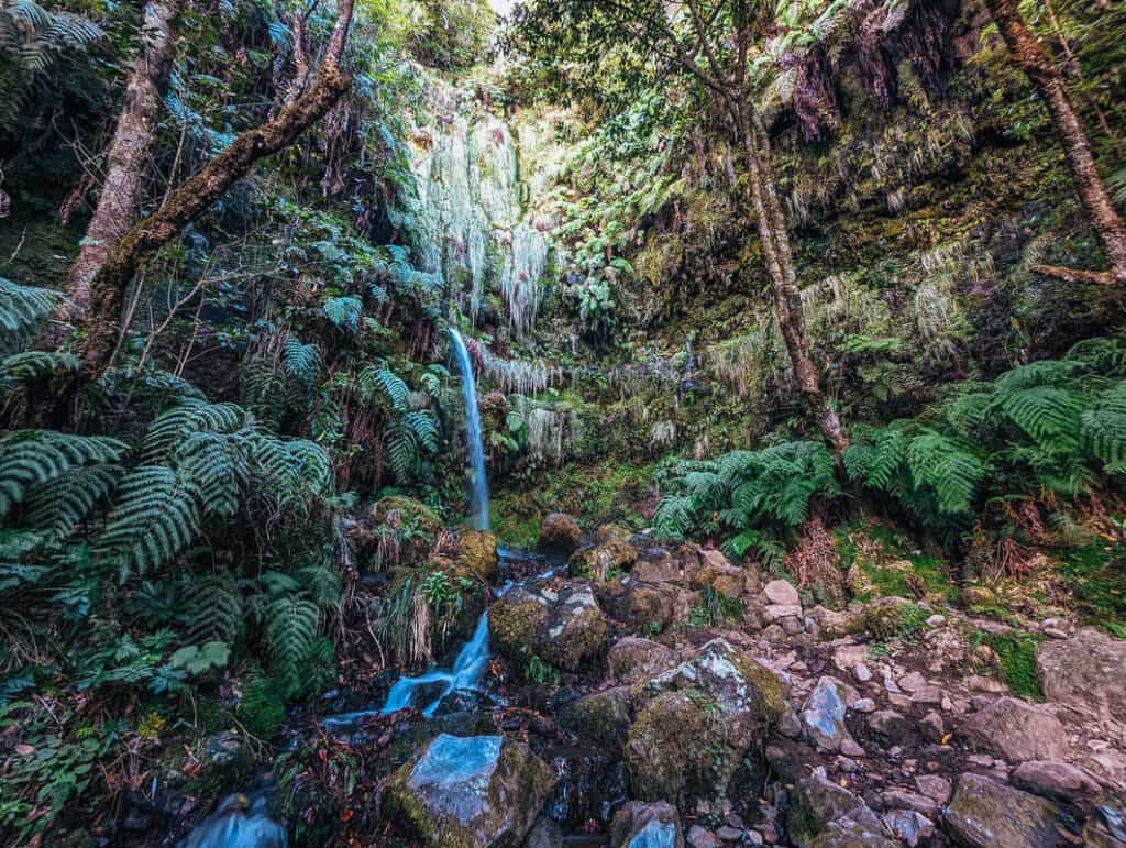 The Handy Guide to Hiking in Madeira Portugal with Our 7 favourite Madeira Hiking trails 25 Caldeira Verde Levada Trail - Madeira Hiking - Hiking in Madeira - Best Hikes in Madeira