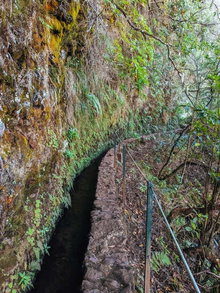 The Handy Guide to Hiking in Madeira Portugal with Our 7 favourite Madeira Hiking trails 9 The Handy Guide to Hiking in Madeira Portugal with Our 7 favourite Madeira Hiking trails