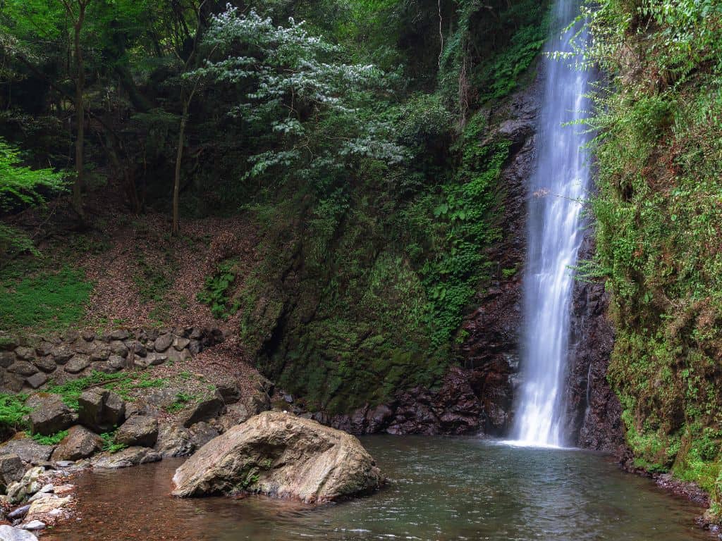 The Handy Guide to Hiking in Madeira Portugal with Our 7 favourite Madeira Hiking trails 67 The Handy Guide to Hiking in Madeira Portugal with Our 7 favourite Madeira Hiking trails