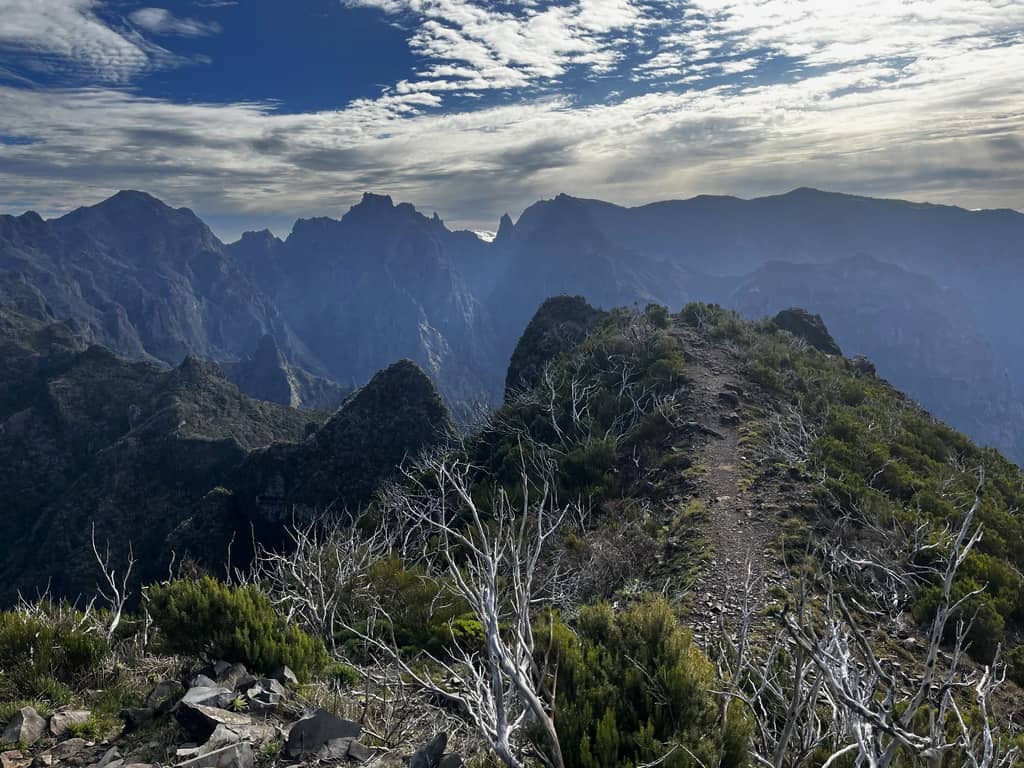 The Handy Guide to Hiking in Madeira Portugal with Our 7 favourite Madeira Hiking trails 59 Hiking in Madeira. The trail from Chao dos Louros to Pico Ruivo, Madeira's highest mountain.