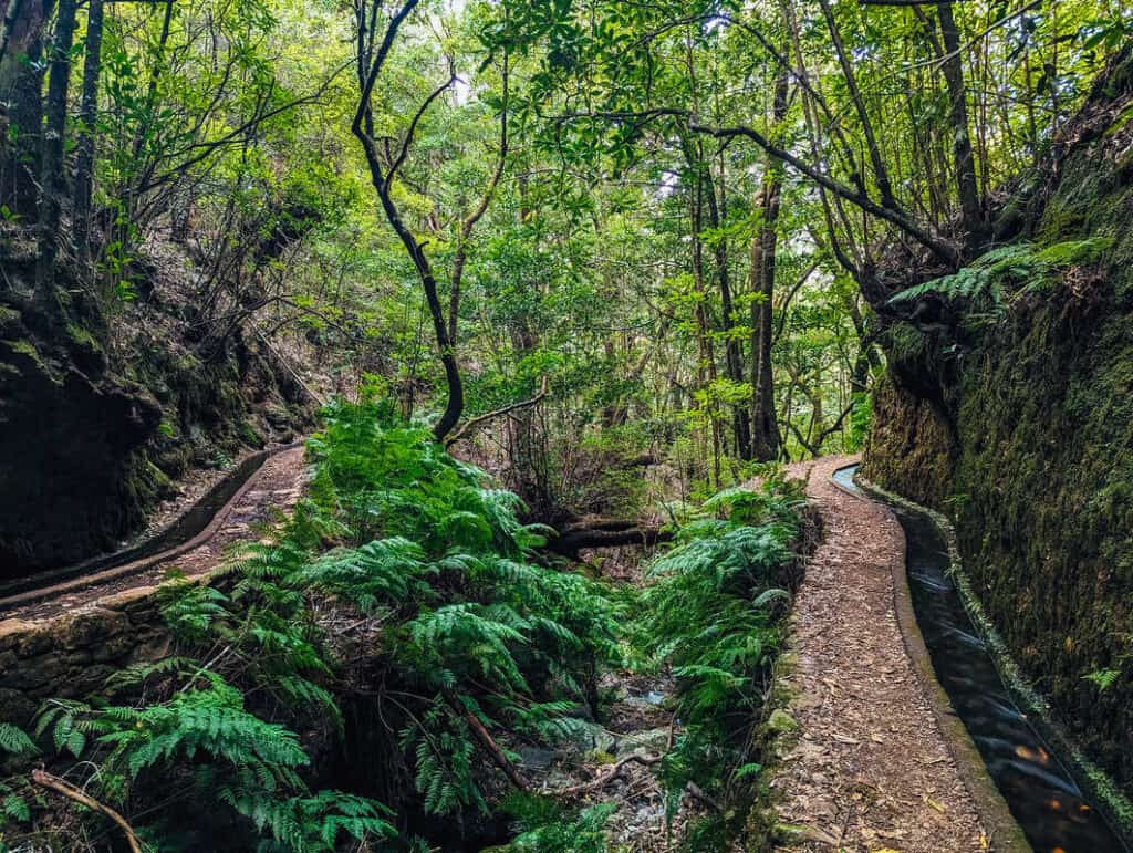 The Handy Guide to Hiking in Madeira Portugal with Our 7 favourite Madeira Hiking trails 42 Levada do Ceidros PR14 Hiking in Madeira - Madeira hiking trails - beautiful hikes Madeira - Journal of Nomads