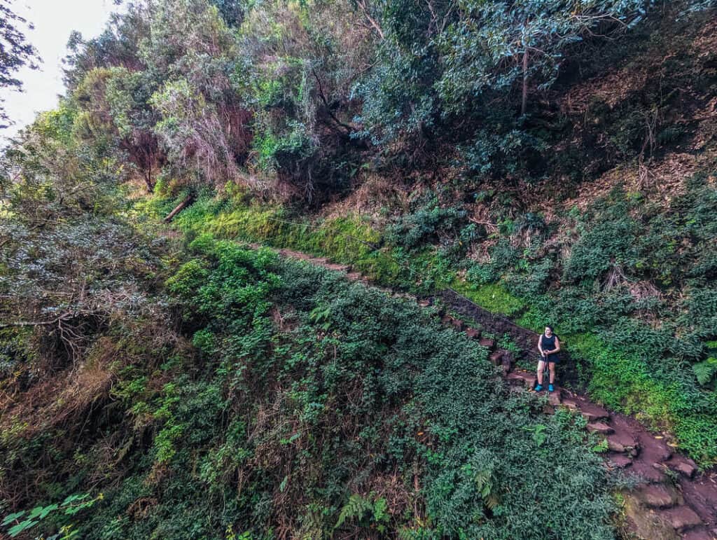 The Handy Guide to Hiking in Madeira Portugal with Our 7 favourite Madeira Hiking trails 53 Hiking in Madeira - best hikes in Madeira - Levada do Lorano Madeira - Boca do Risco Madeira - Journal of Nomads