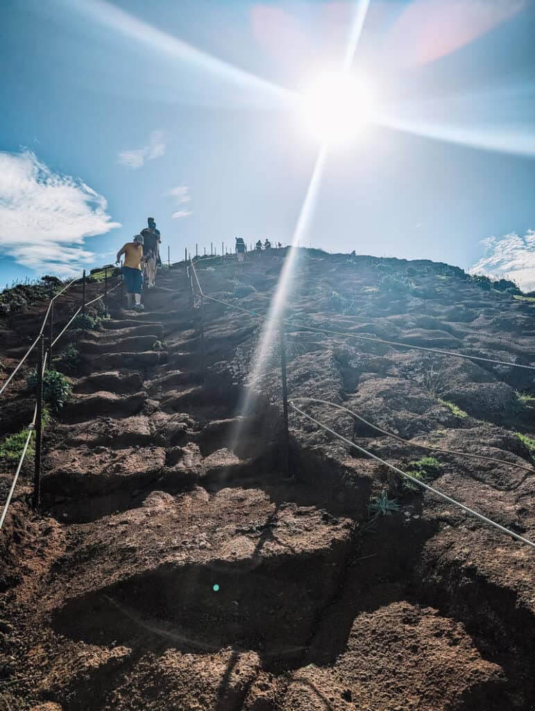 The Handy Guide to Hiking in Madeira Portugal with Our 7 favourite Madeira Hiking trails 29 The Handy Guide to Hiking in Madeira Portugal with Our 7 favourite Madeira Hiking trails