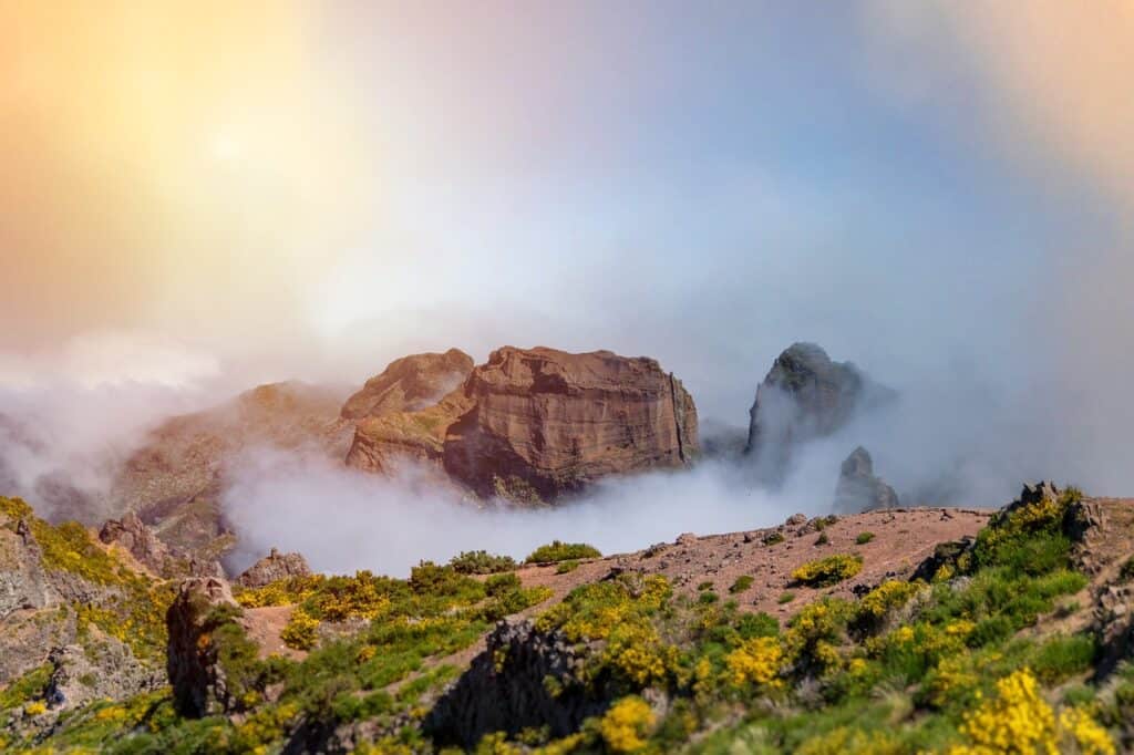 The Handy Guide to Hiking in Madeira Portugal with Our 7 favourite Madeira Hiking trails 64 The Handy Guide to Hiking in Madeira Portugal with Our 7 favourite Madeira Hiking trails
