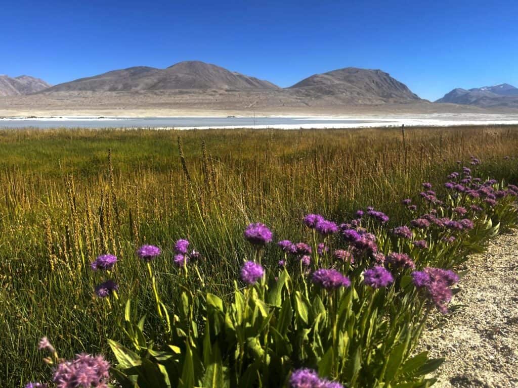 17-day Highlights of Tajikistan Tour: Fann Mountains and Pamir Highway Tour 43 17-day Highlights of Tajikistan Tour: Fann Mountains and Pamir Highway Tour
