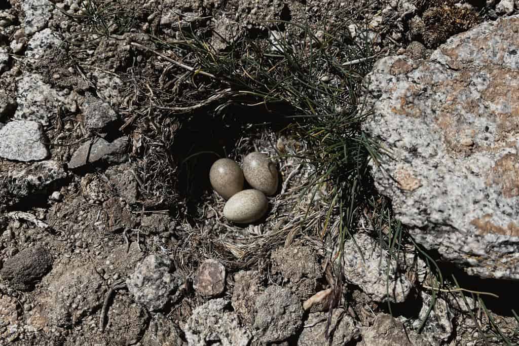 Pamir Highway - hiking in Tajikistan - Journal of Nomads